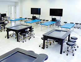 バーチャル解剖学実習室