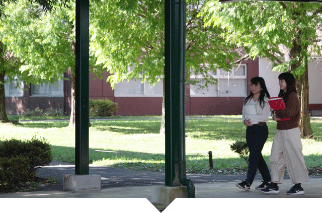 学部・学科 FACULTY