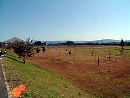 広大なグラウンド